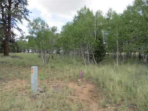 143 Ignacio Ct, Como, CO 80456 photo 1