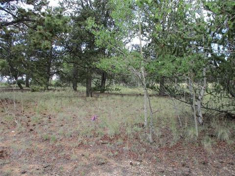 143 Ignacio Ct, Como, CO 80456 photo 6