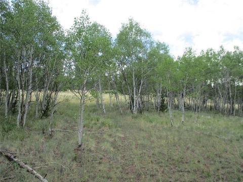 143 Ignacio Ct, Como, CO 80456 photo 10