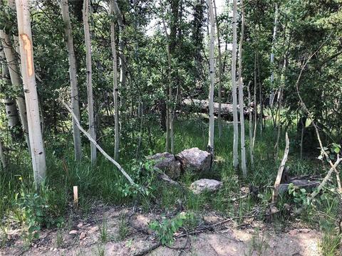 6661 Remington Rd, Como, CO 80432 photo 9