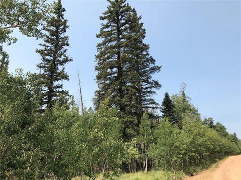 6661 Remington Rd, Como, CO 80432 photo 14