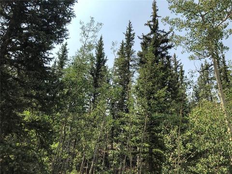 6661 Remington Rd, Como, CO 80432 photo 2