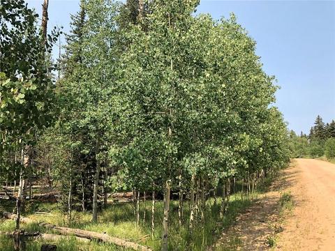 6661 Remington Rd, Como, CO 80432 photo 4