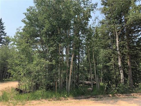 6661 Remington Rd, Como, CO 80432 photo 13