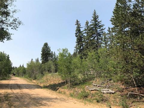 6661 Remington Rd, Como, CO 80432 photo 6