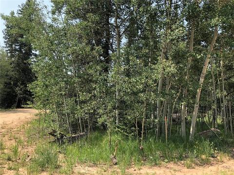 6661 Remington Rd, Como, CO 80432 photo 10