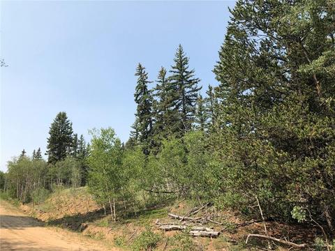 6661 Remington Rd, Como, CO 80432 photo 3