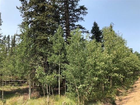 6661 Remington Rd, Como, CO 80432 photo 8