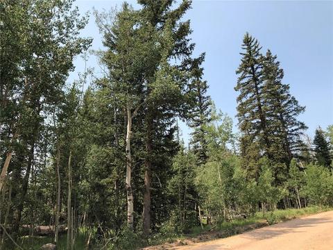 6661 Remington Rd, Como, CO 80432 photo 11