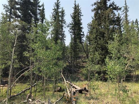6661 Remington Rd, Como, CO 80432 photo 7