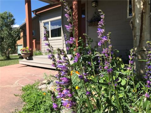 955 Summit Dr, Dillon, CO 80435 photo 2