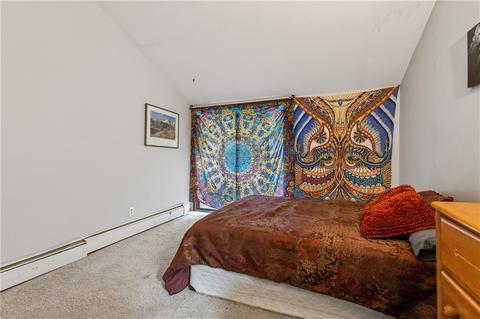 292 N Side Cir, Silverthorne, CO 80498 photo 14