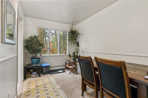 292 N Side Cir, Silverthorne, CO 80498 photo 10