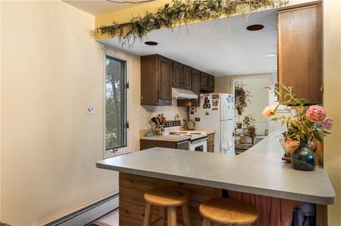 292 N Side Cir, Silverthorne, CO 80498 photo 5