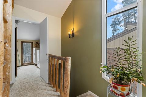 292 N Side Cir, Silverthorne, CO 80498 photo 21