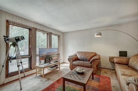 440 Cascade Cir, Silverthorne, CO 80498 photo 9