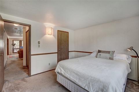 440 Cascade Cir, Silverthorne, CO 80498 photo 23