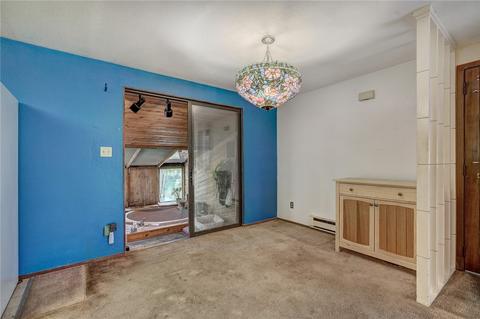 440 Cascade Cir, Silverthorne, CO 80498 photo 20