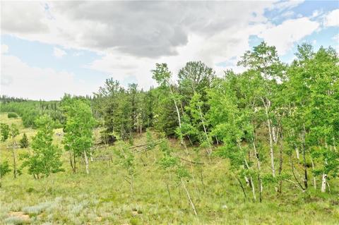 440 Sharps Way, Como, CO 80432 photo 1