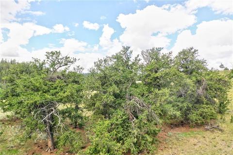 440 Sharps Way, Como, CO 80432 photo 8