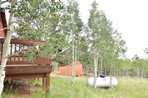 648 Ute Trl, Como, CO 80432 photo 21