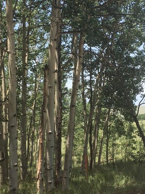 151 Anhinga Rd, Como, CO 80432 photo 1