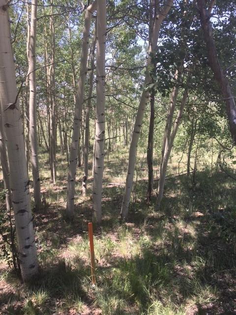 151 Anhinga Rd, Como, CO 80432 photo 2