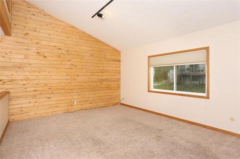 376 Cartier Ct, Dillon, CO 80435 photo 16