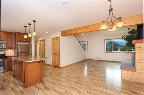 376 Cartier Ct, Dillon, CO 80435 photo 8