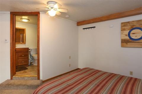 376 Cartier Ct, Dillon, CO 80435 photo 32