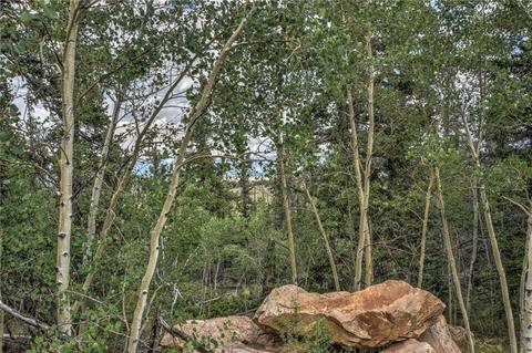 385 Foxtail Ct, Como, CO 80432 photo 3