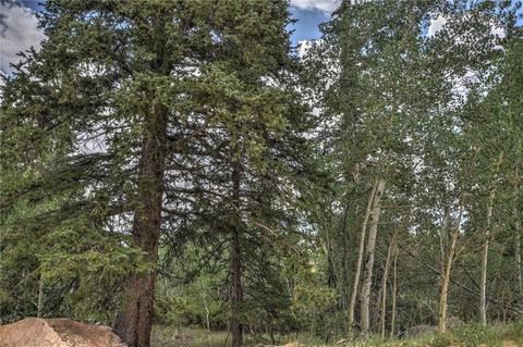 385 Foxtail Ct, Como, CO 80432 photo 2