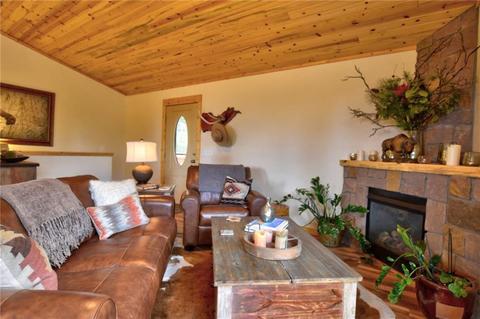 50 Willet Ln, Como, CO 80432 photo 2