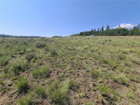 852 Arrowhead Dr, Como, CO 80432 photo 4