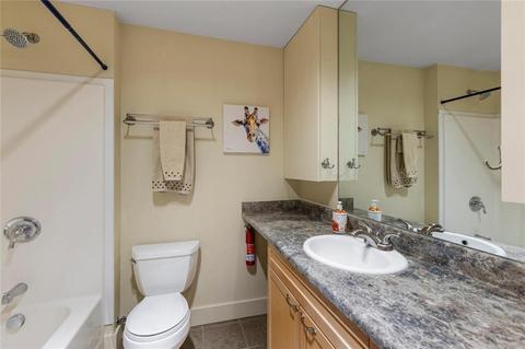 314 E Lincoln Ave, Breckenridge, CO 80424 photo 23