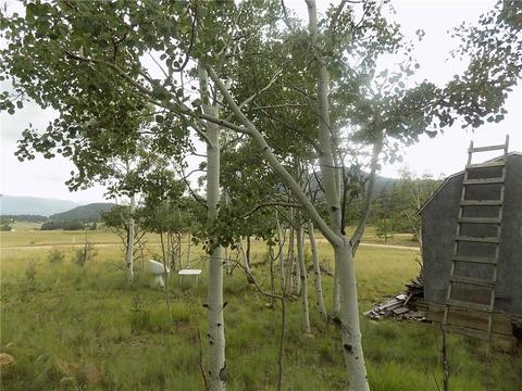 69 Thunder Ln, Como, CO 80432 photo 6