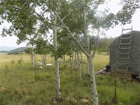 69 Thunder Ln, Como, CO 80432 photo 5