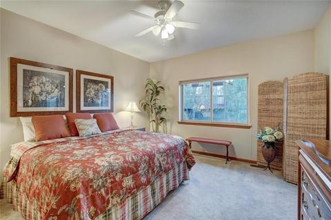 592 Ryan Gulch Rd, Silverthorne, CO 80498 photo 17