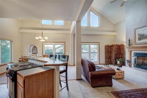 592 Ryan Gulch Rd, Silverthorne, CO 80498 photo 4