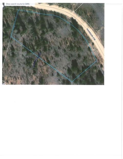1070 Warrior Cir, Como, CO 80432 photo 9
