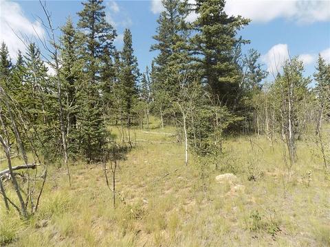 1070 Warrior Cir, Como, CO 80432 photo 2