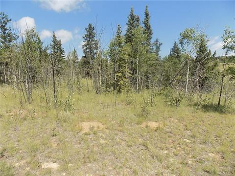 1070 Warrior Cir, Como, CO 80432 photo 1