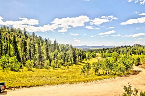 995 Bear Ln, Como, CO 80432 photo 6