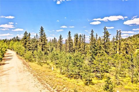995 Bear Ln, Como, CO 80432 photo 2