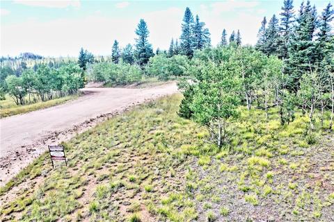 995 Bear Ln, Como, CO 80432 photo 15