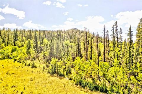 995 Bear Ln, Como, CO 80432 photo 12