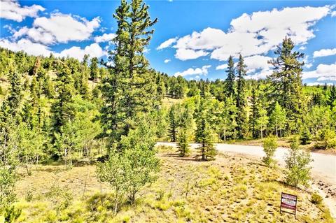 995 Bear Ln, Como, CO 80432 photo 4