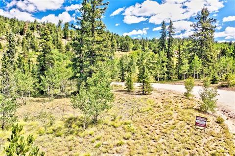 995 Bear Ln, Como, CO 80432 photo 3