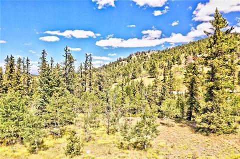 995 Bear Ln, Como, CO 80432 photo 1