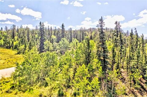 995 Bear Ln, Como, CO 80432 photo 11